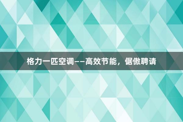 格力一匹空调——高效节能，倨傲聘请